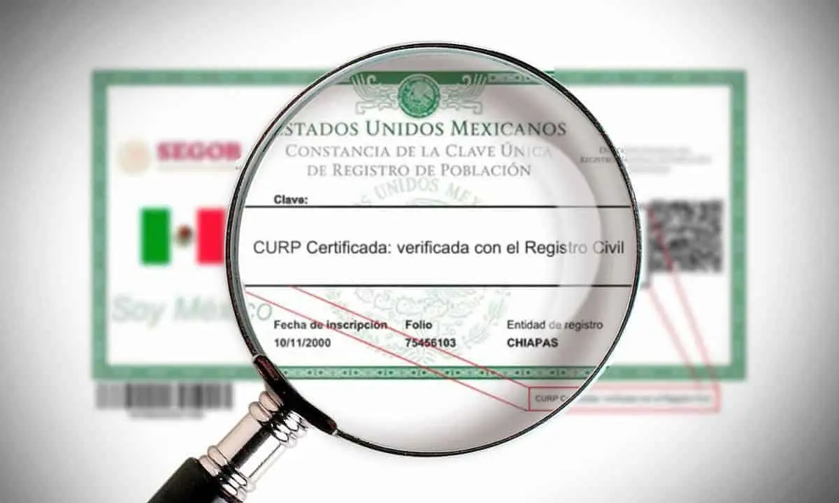 El CURP se conforma por 18 dígitos que sirven como identificación. Imagen: Cortesía