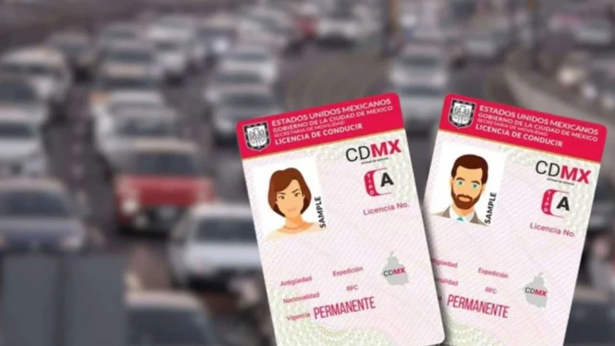 Licencia permanente.