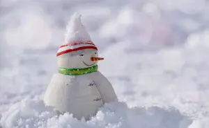 ¡Nevadas en México! Estos estados se pintarán de blanco