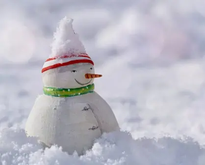 ¡Nevadas en México! Estos estados se pintarán de blanco