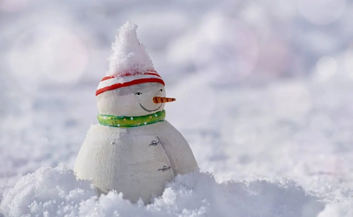 ¡Nevadas en México! Estos estados se pintarán de blanco