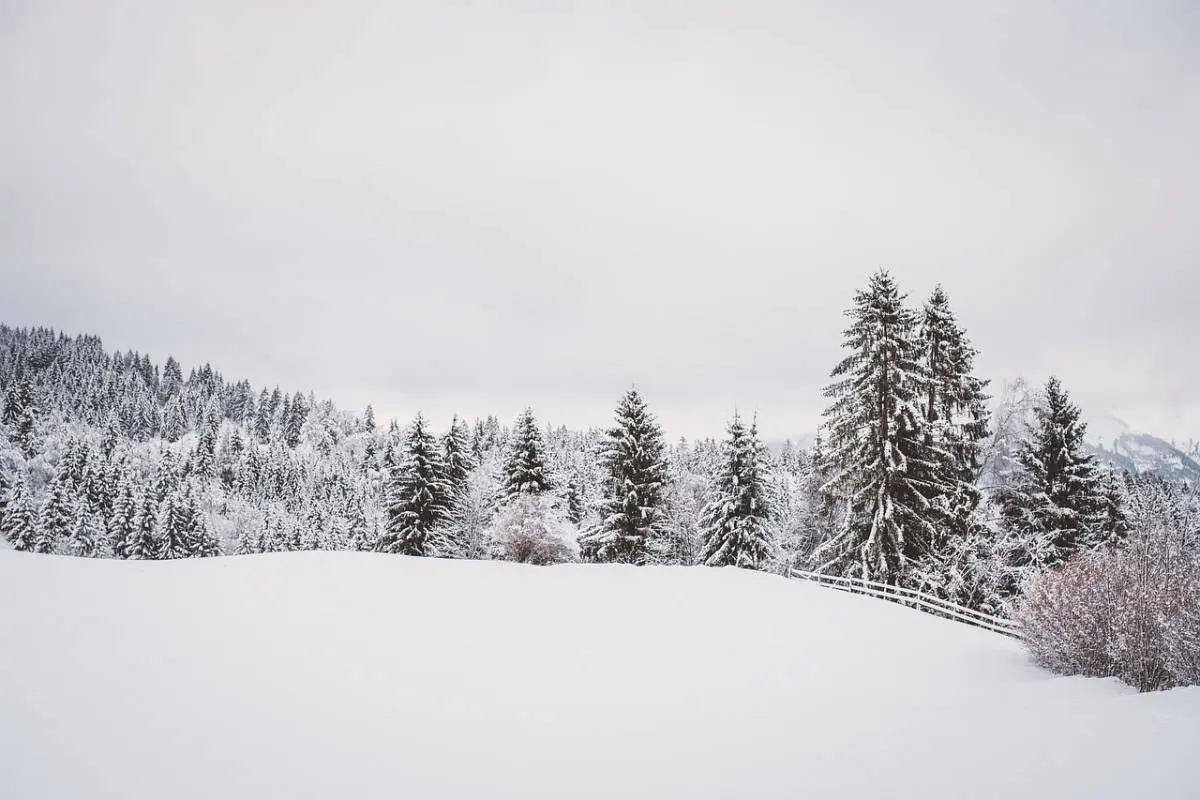 ¡Nevadas en México! Estados se pintarán de blanco