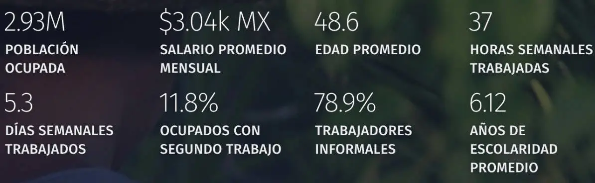 Información de los trabajadores agrícolas. economía.gob.mx