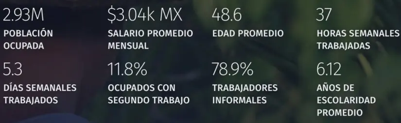 Información de los trabajadores agrícolas. economía.gob.mx