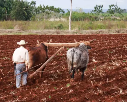 100 pasos para la transformación: Los jornaleros