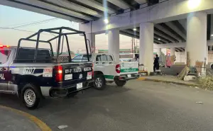 Don Blas vuelve a su hogar en Villa Juárez junto a sus inseparables mascotas