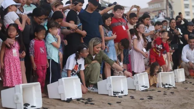 Niñas, niños y adultos participaron en la liberación de las tortugas.