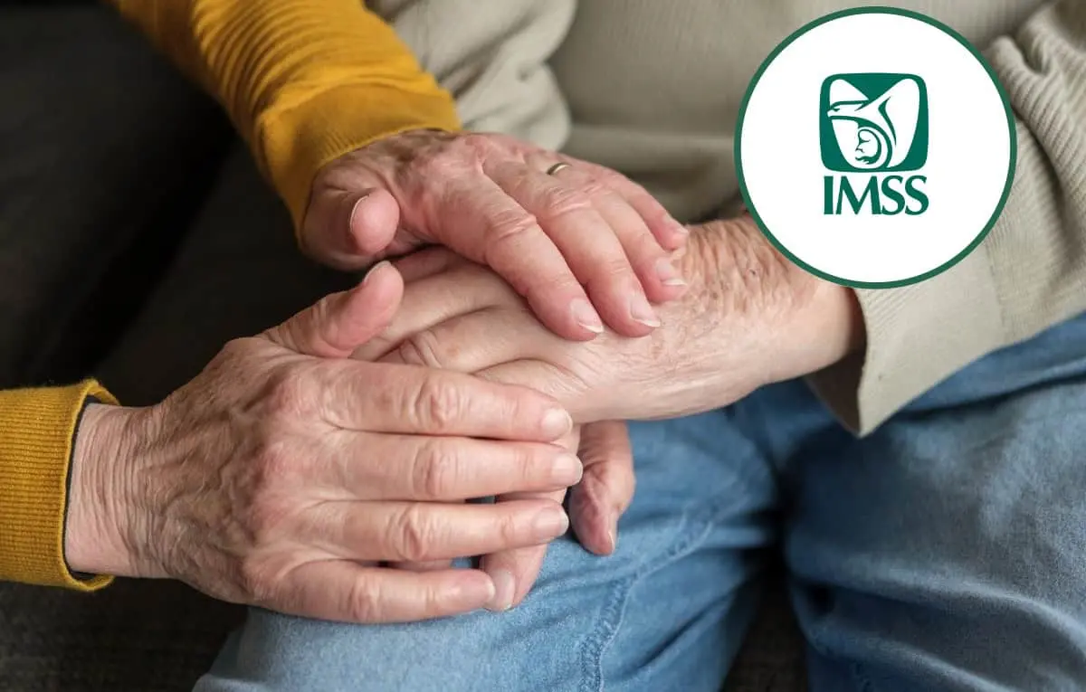 Cada mes millones de adultos mayores reciben su pensión del IMSS.