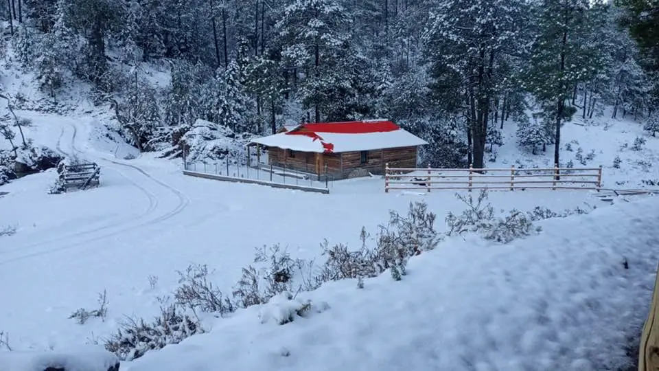 Nieve en Sinaloa