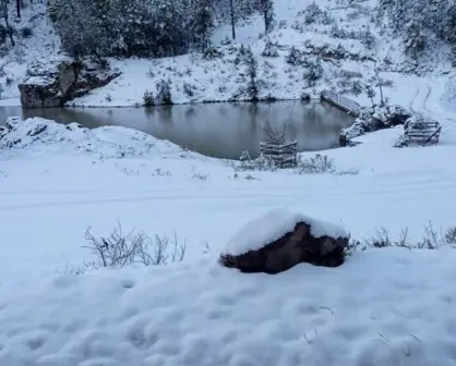 Los lugares con nieve en Sinaloa que se visten de blanco en invierno