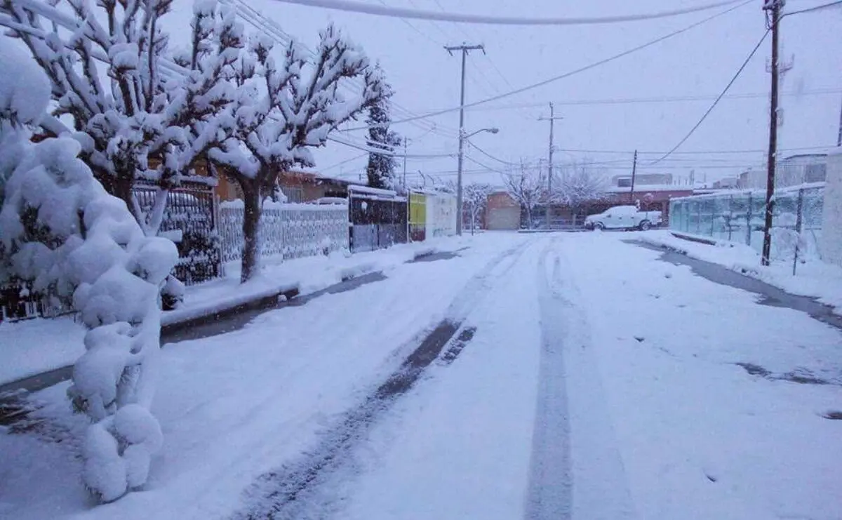 Nevadas pintan de blanco Chihuahua