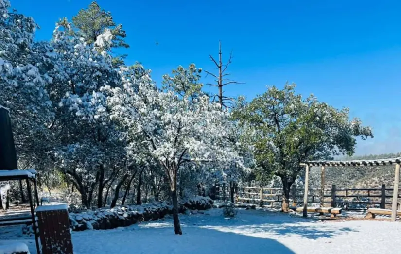 Primeras nevadas pintan de blanco Chihuahua	