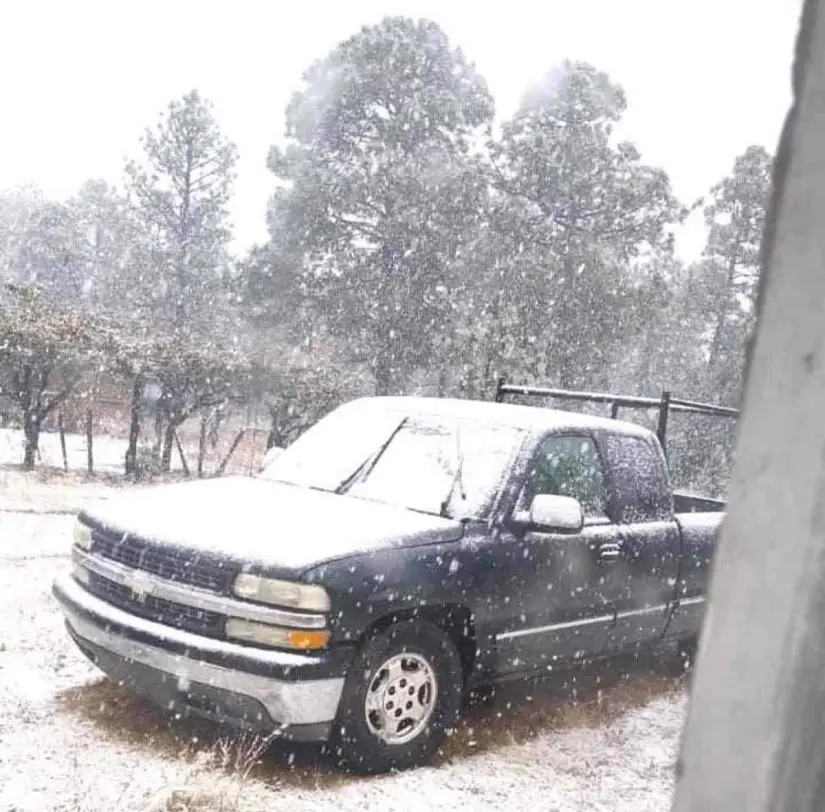 Primeras nevadas pintan de blanco Chihuahua	