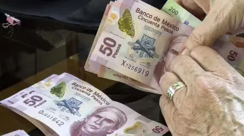 ¿Cuál es la diferencia entre pensionado y jubilado en México?