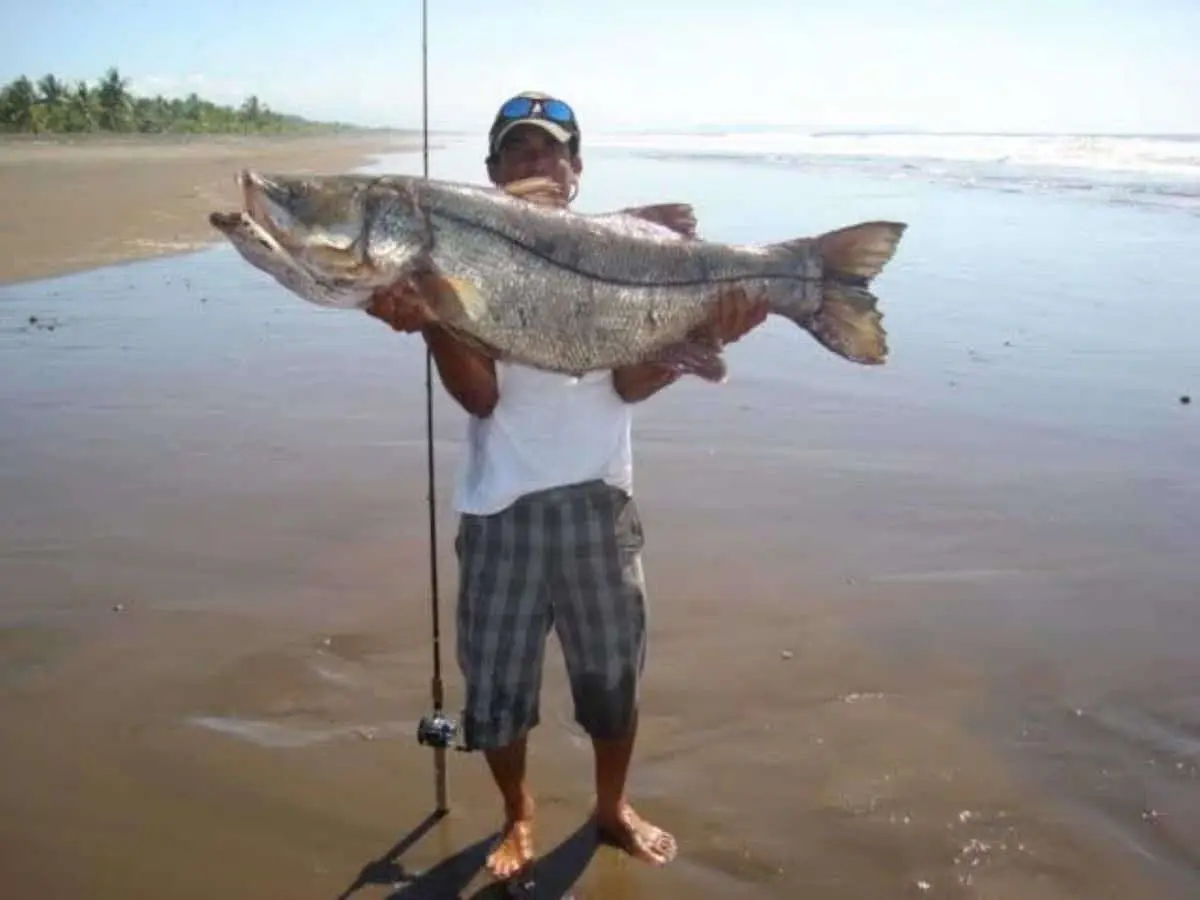 Pesca de orilla en Sinaloa