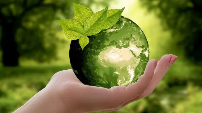 Cuidar el planeta. Imagen. Pixabay.