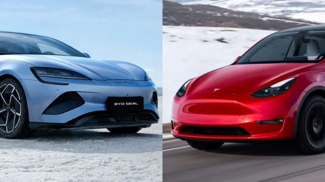 BYD y Tesla destacan con sus modelos en el sector de autos eléctricos. Fotos: Cortesía