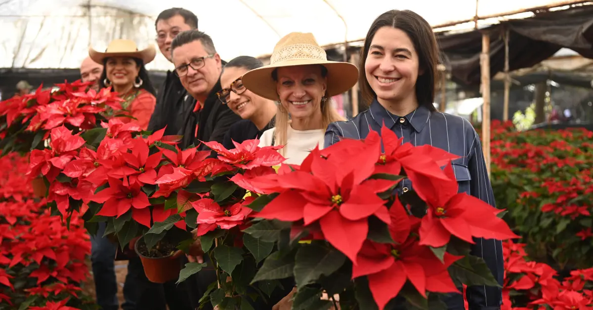 Dónde comprar flores de nochebuena en la CDMX