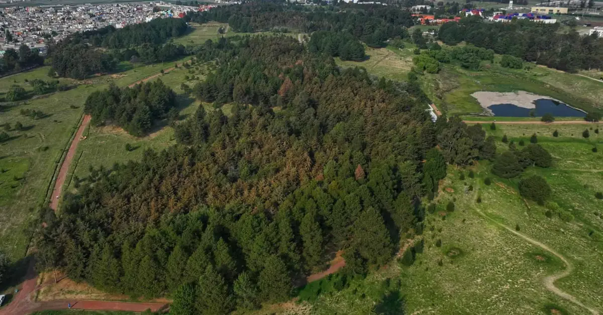 Descubre el Parque Alameda 2000, el pulmón verde en Toluca