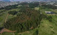 Descubre el Parque Alameda 2000, el pulmón verde en Toluca