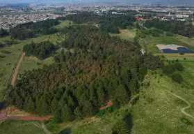 Descubre el Parque Alameda 2000, el pulmón verde en Toluca