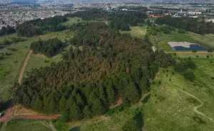 Descubre el Parque Alameda 2000, el pulmón verde en Toluca