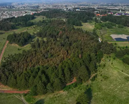 Descubre el Parque Alameda 2000, el pulmón verde en Toluca