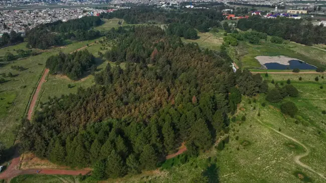 Convivencia familiar y ecología en el Parque Alameda 2000 en Toluca.