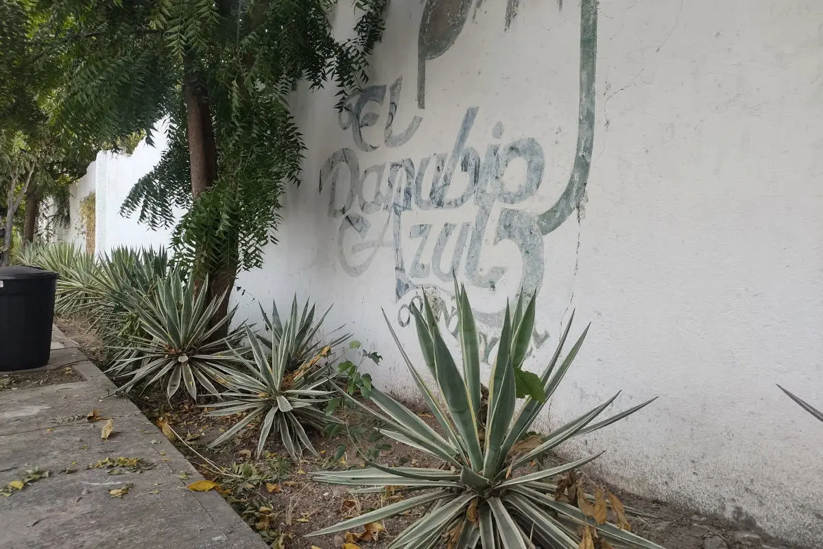 En la barda que queda como único vestigio del icónico salón de Tierra Blanca, se observa el nombre del Danubio Azul.