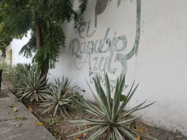 El Danubio Azul, el salón que marcó una época en la colonia Tierra Blanca en Culiacán