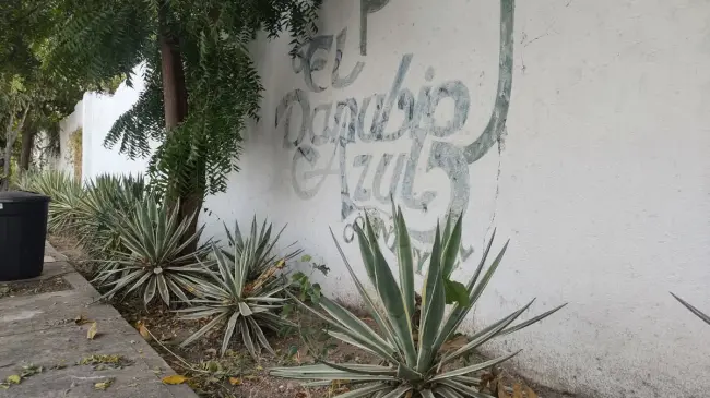 En la barda que queda como único vestigio del icónico salón de Tierra Blanca, se observa el nombre del Danubio Azul.