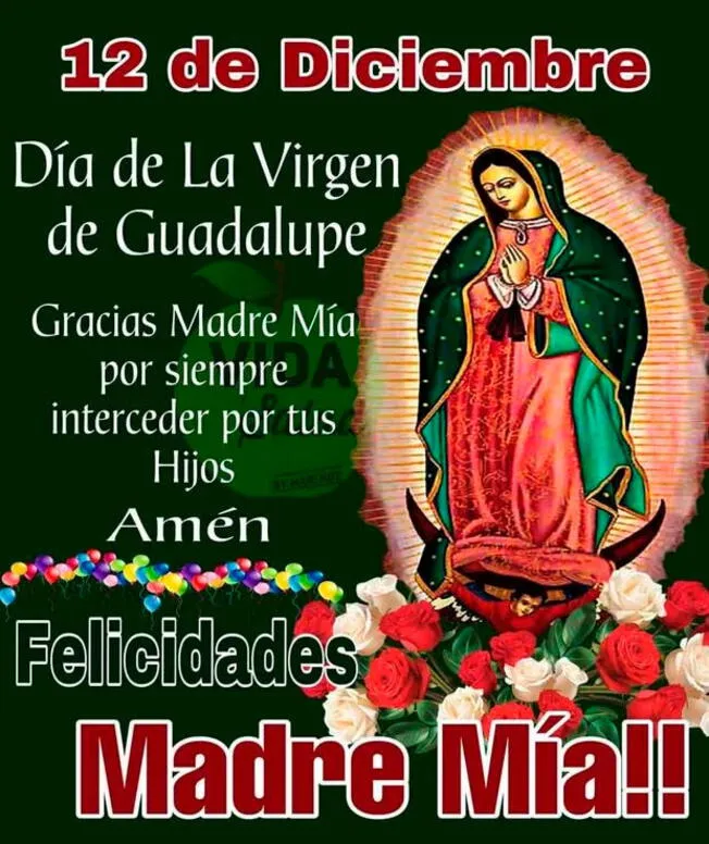  Virgen de Guadalupe con frases.