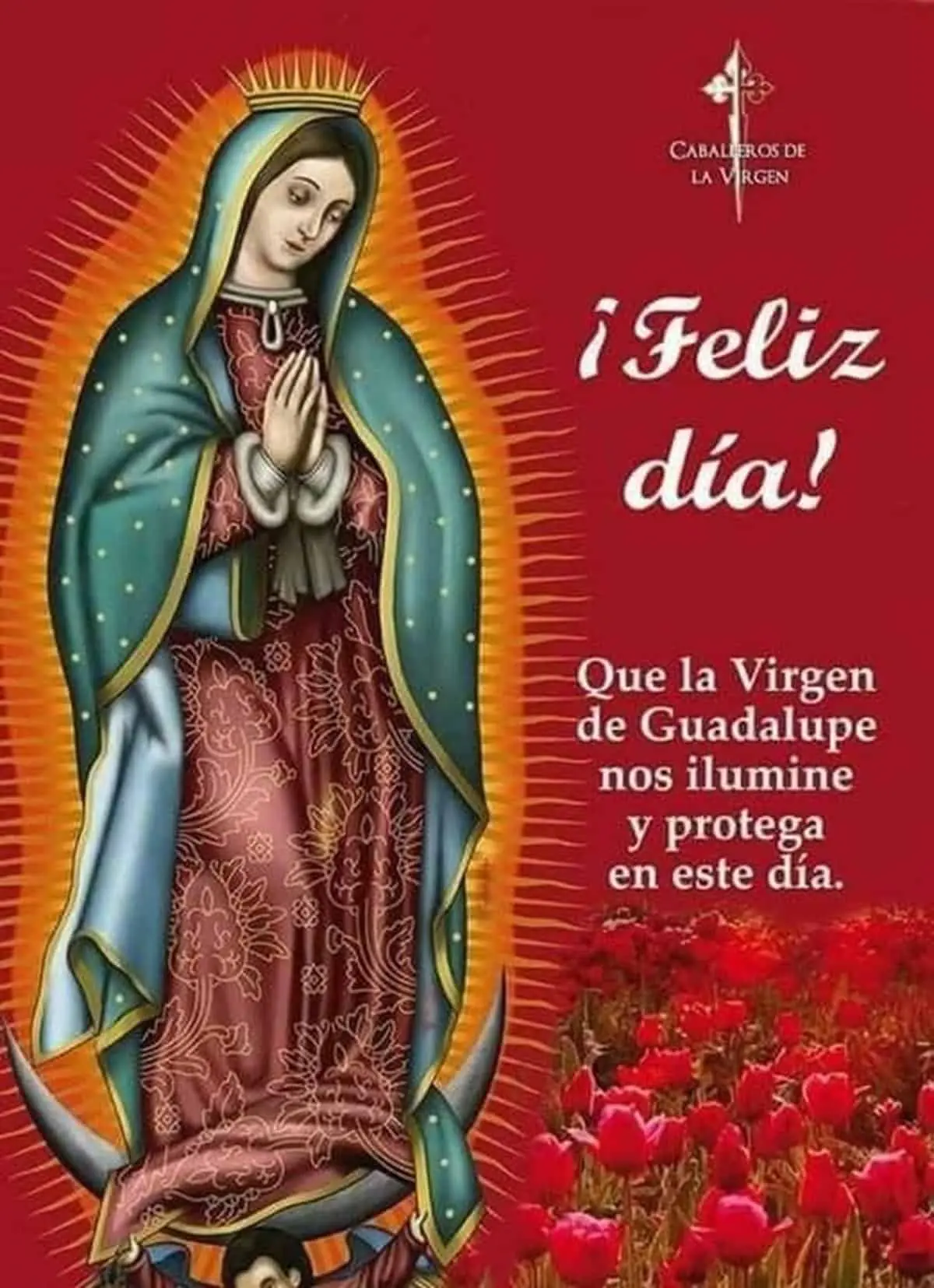  Virgen de Guadalupe con frases.