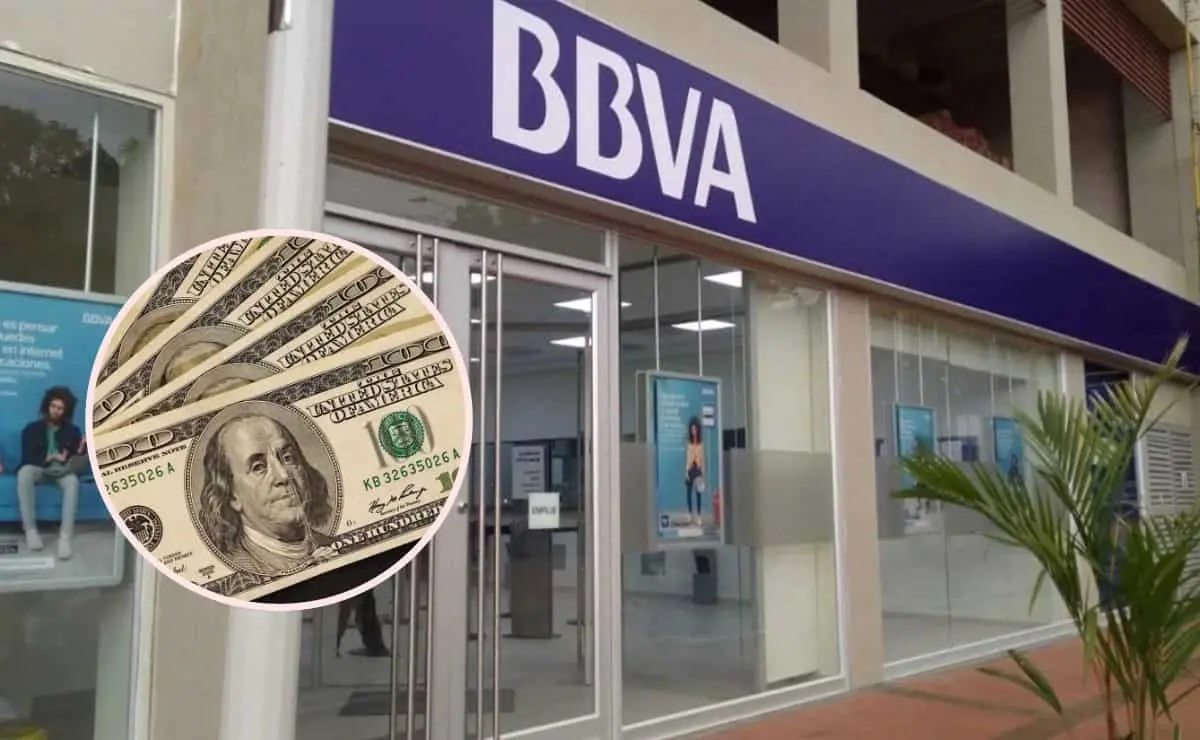 Así puedes comprar dólares en BBVA paso a paso. Foto: Pixabay