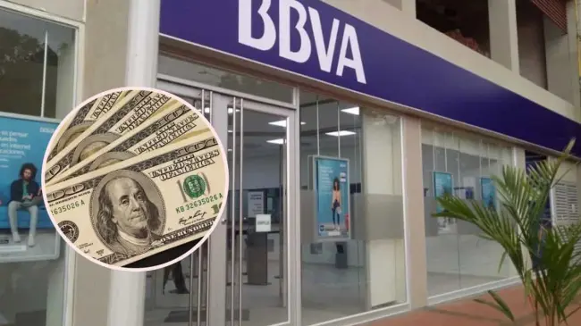 Así puedes comprar dólares en BBVA paso a paso. Foto: Pixabay