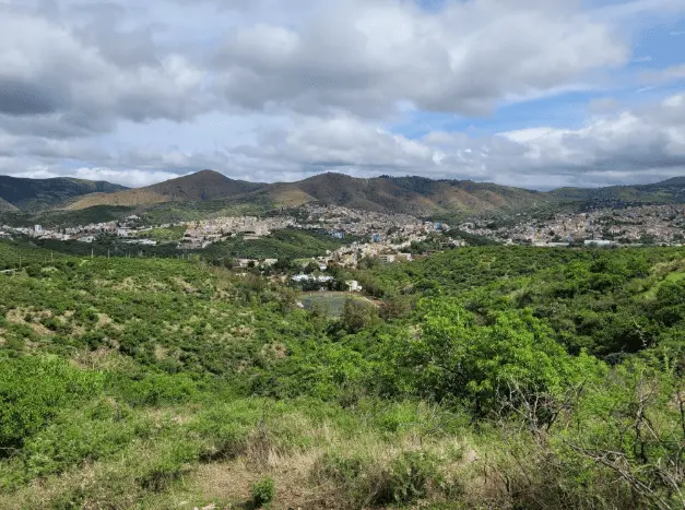 Guanajuato verde