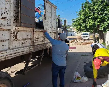 La colonia Emiliano Zapata en Culiacán se une a la lucha contra el Dengue