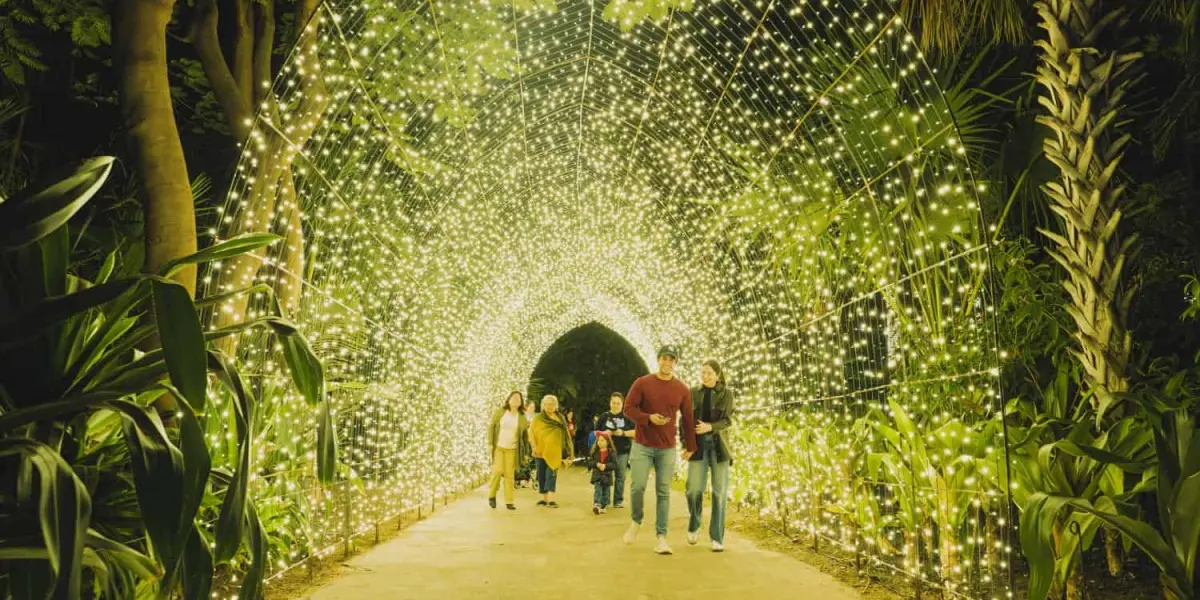 Navidad en el Botánico 2024; cuando inicia.