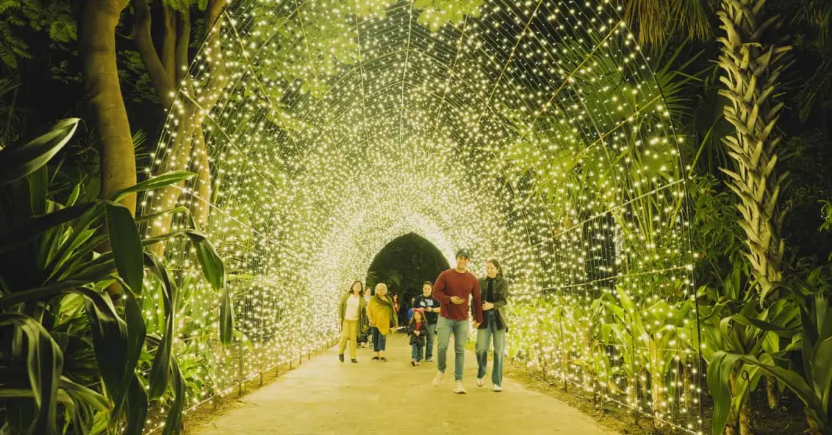 Navidad en el Botánico 2024; cuando inicia el espectáculo de luz más esperado en Culiacán