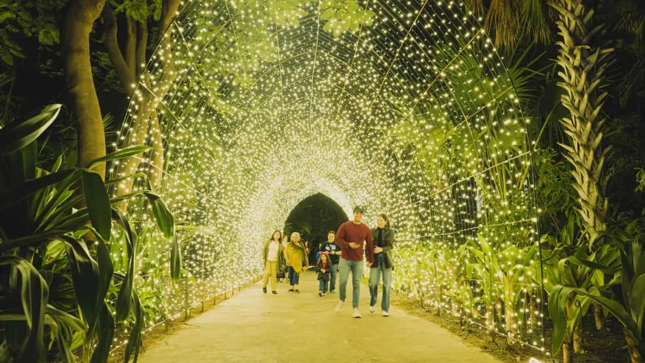 Navidad en el Botánico 2024; cuando inicia.