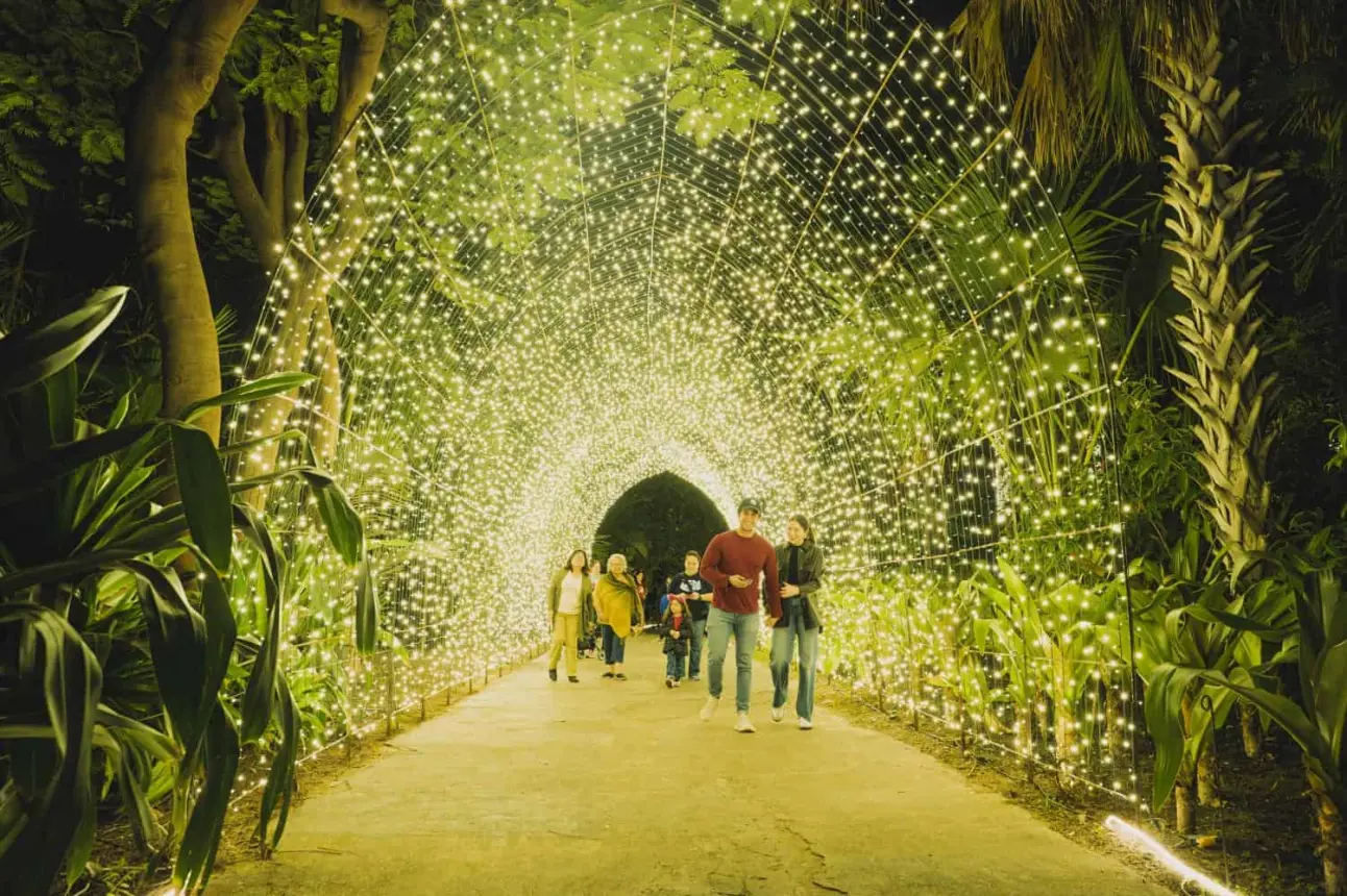 Navidad en el Botánico 2024; cuando inicia.