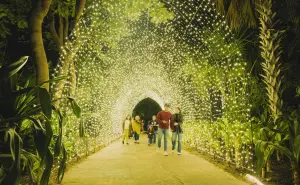 Navidad en el Botánico 2024; cuando inicia el espectáculo de luz más esperado en Culiacán