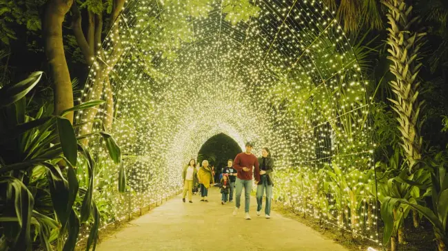 Navidad en el Botánico 2024; cuando inicia.