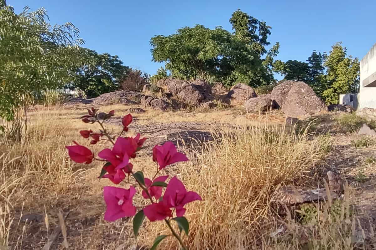 El Parque de las Piedras, un vestigio de la historia del Humaya en Culiacán