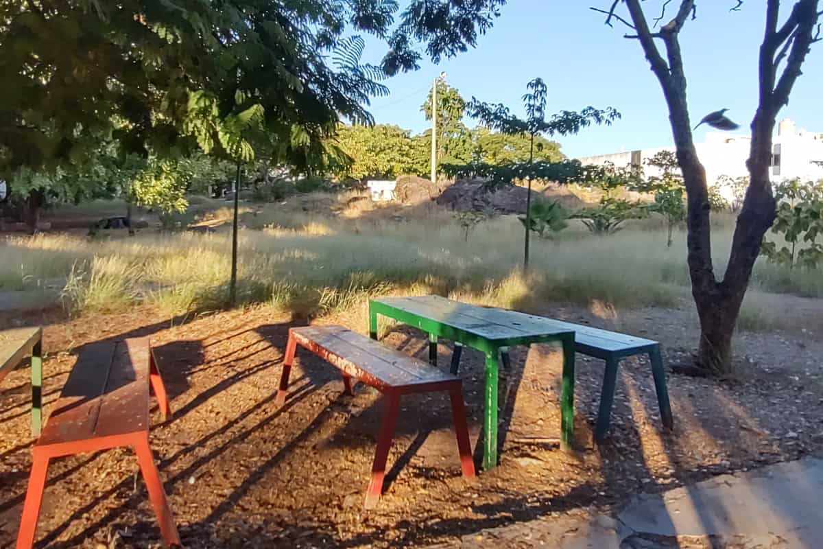 El Parque de las Piedras, un vestigio de la historia del Humaya en Culiacán