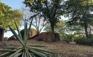 El Parque de las Piedras, un vestigio de la historia del Humaya en Culiacán