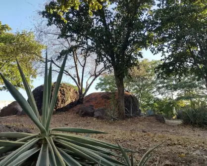 El Parque de las Piedras, un vestigio de la historia del Humaya en Culiacán