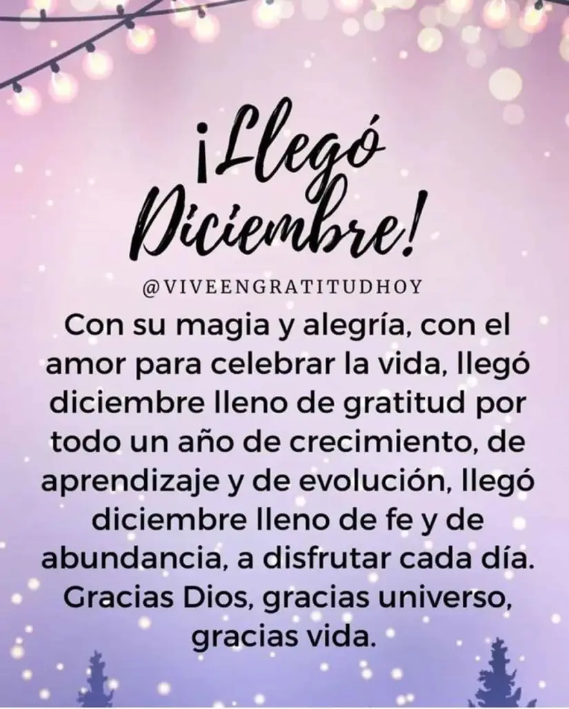 Frases para recibir diciembre