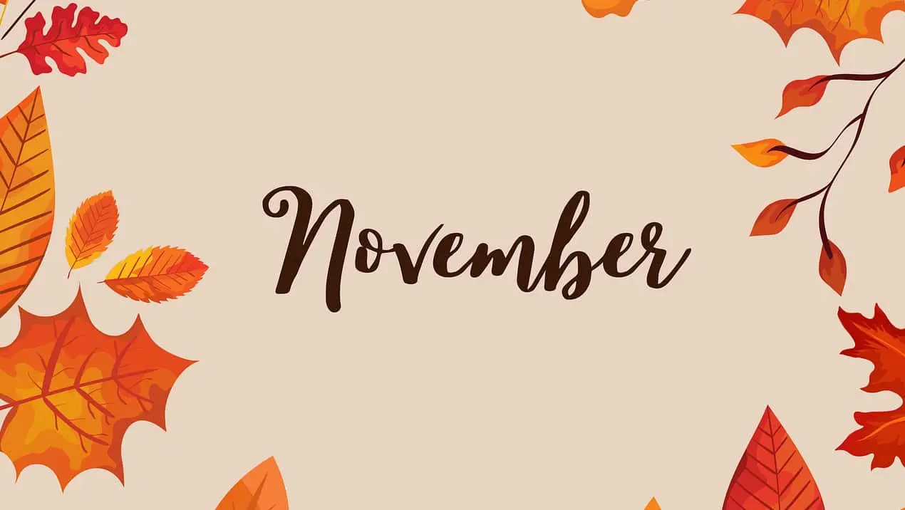 Frases bonitas para despedir el mes de noviembre.