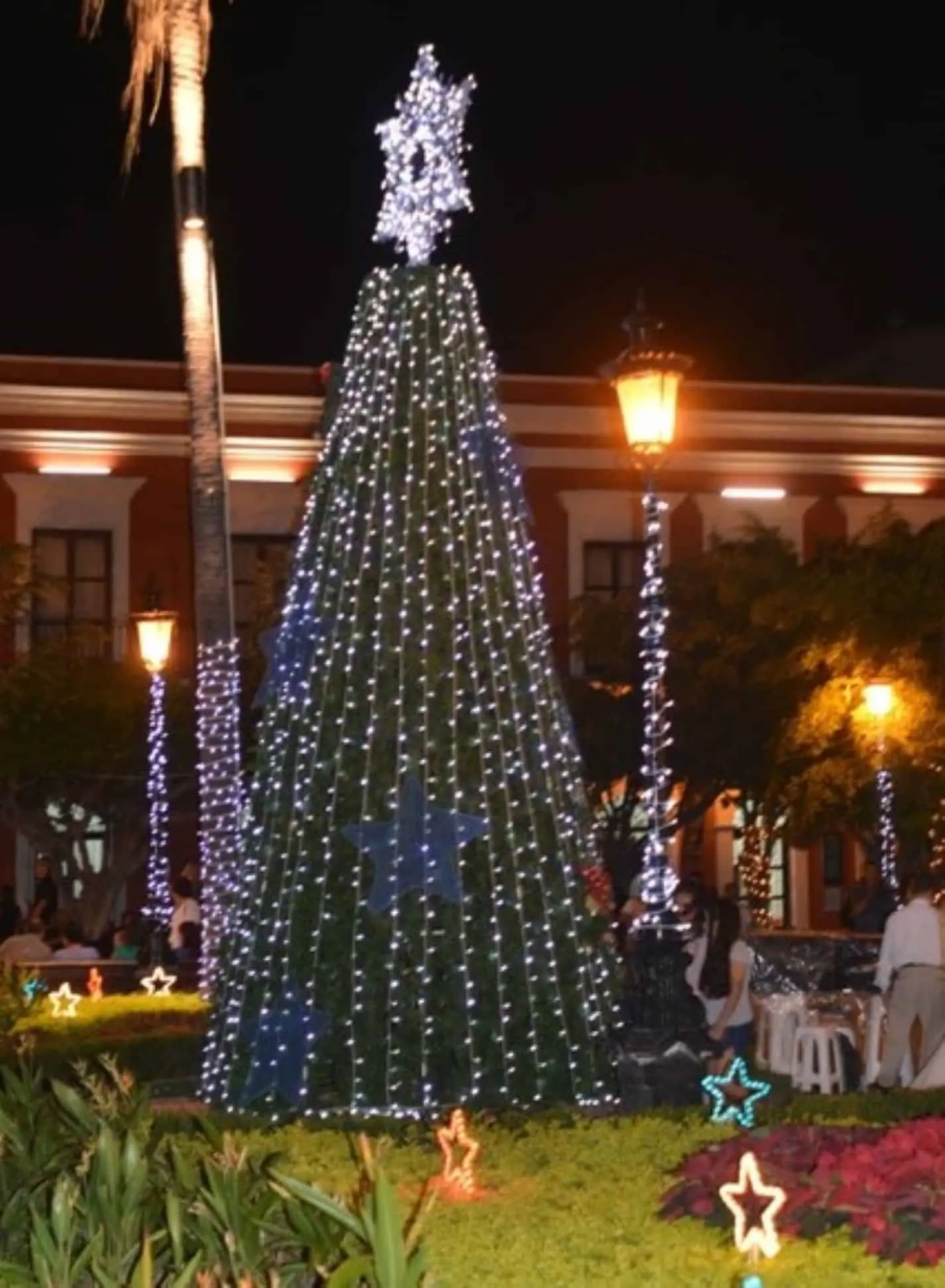 Encendido del árbol de Navidad en la Plazuela Machado. próximo 6 de diciembre. Foto: Cortesía